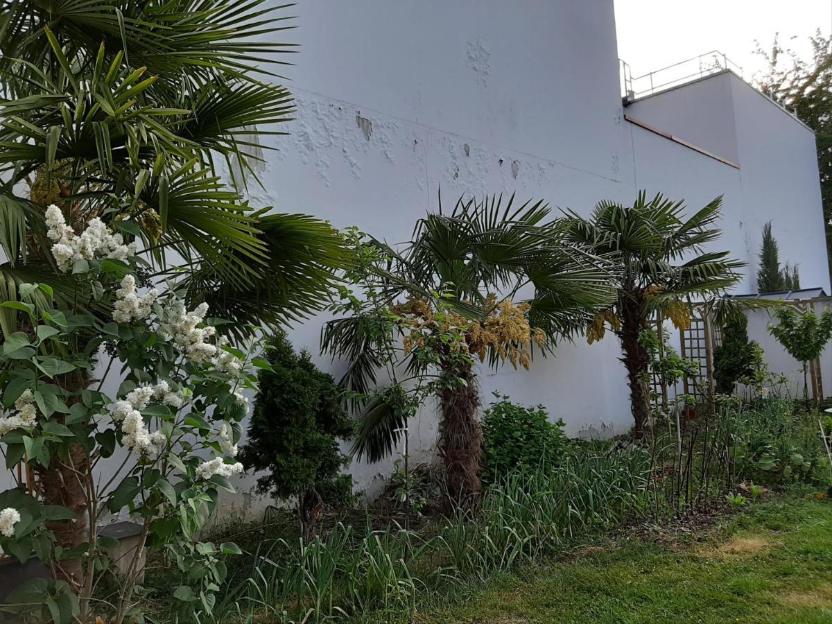 3 Private Rooms Shared Flat In A Villa At Sceaux 600M Rer B Direct To Notre-Dame Sceaux (Hauts-de-Seine) Exterior foto